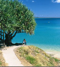 brisbane real estate