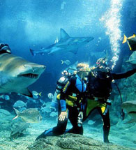 FIRB approval property australia